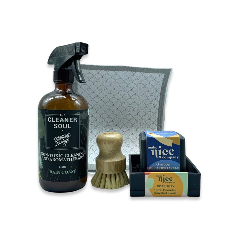 Cleaning Essentials Kit